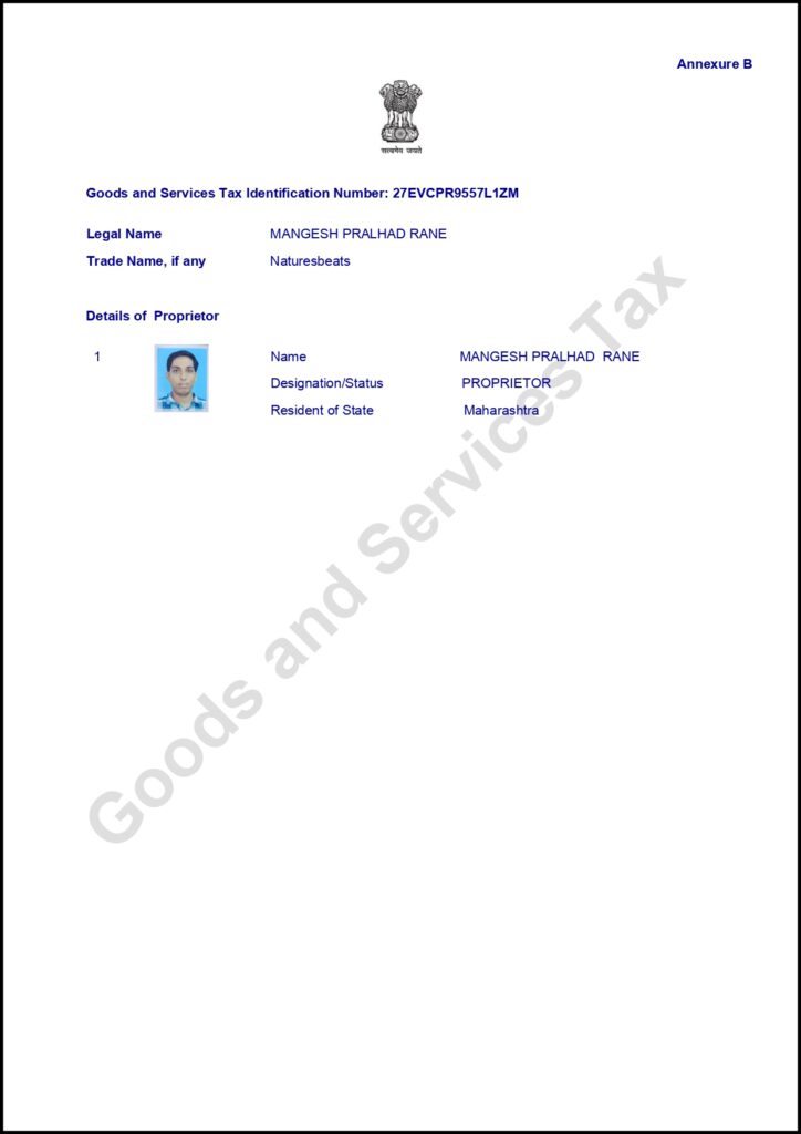 gst certificate . page 0003